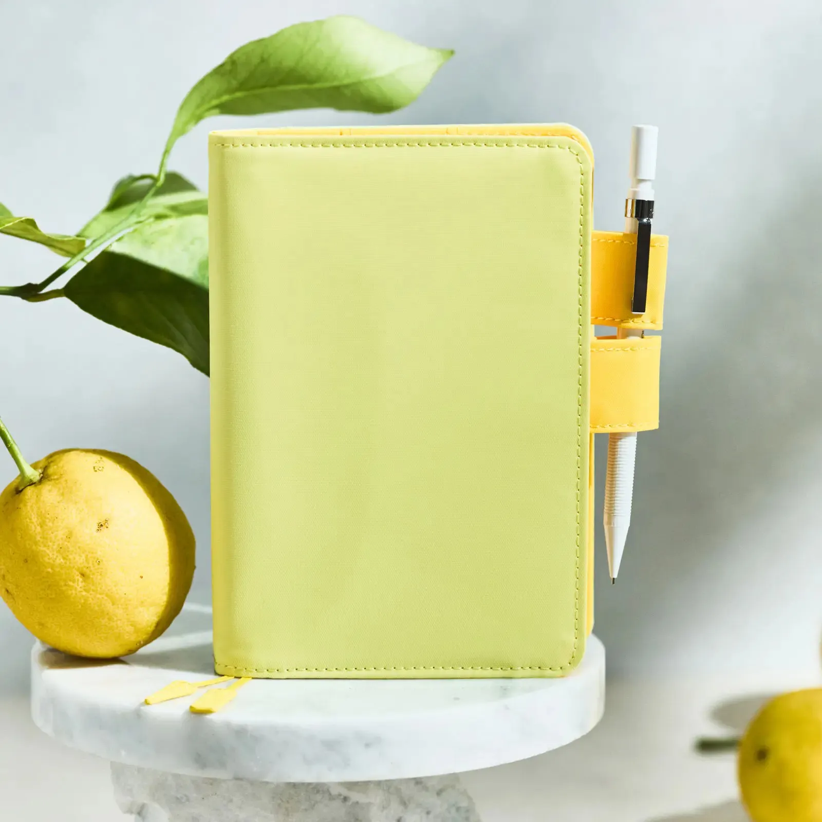 Hobonichi Techo A6 original planner with cream Tomoe River pages